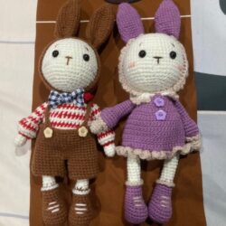 mimi's the rabbit