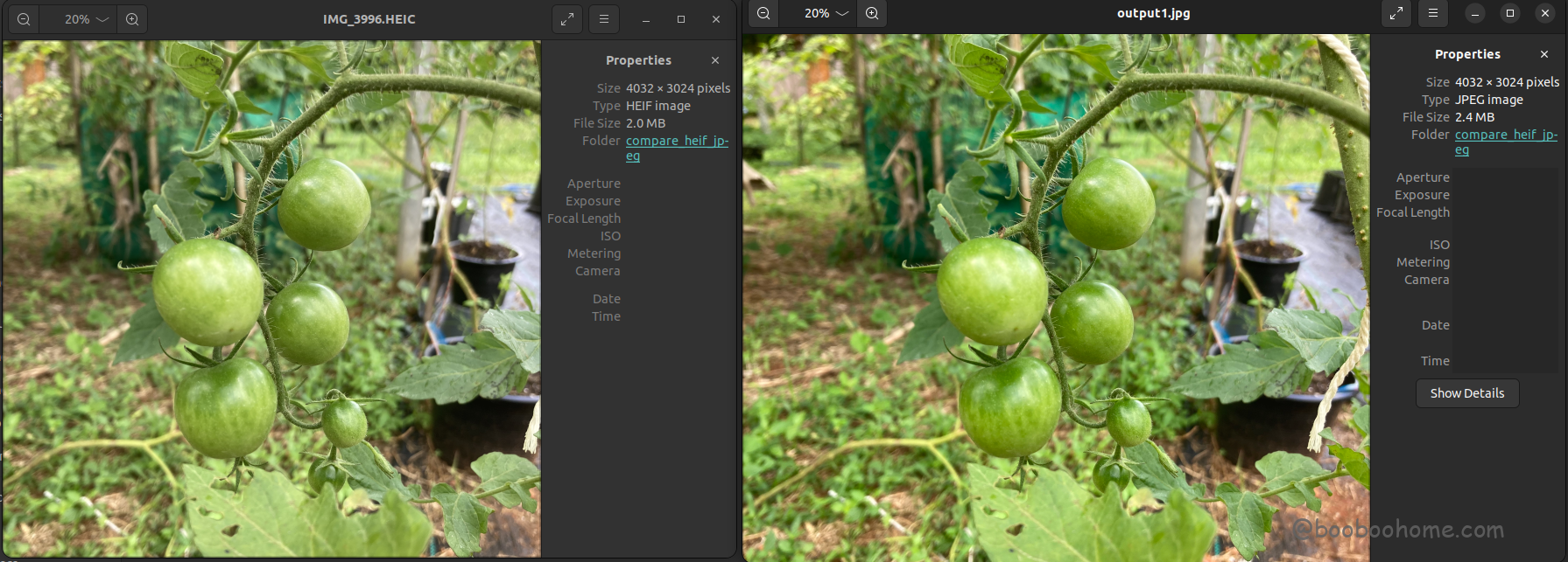 Compare HEIC with JPEG